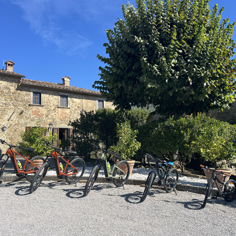 E-BIKE RENTAL